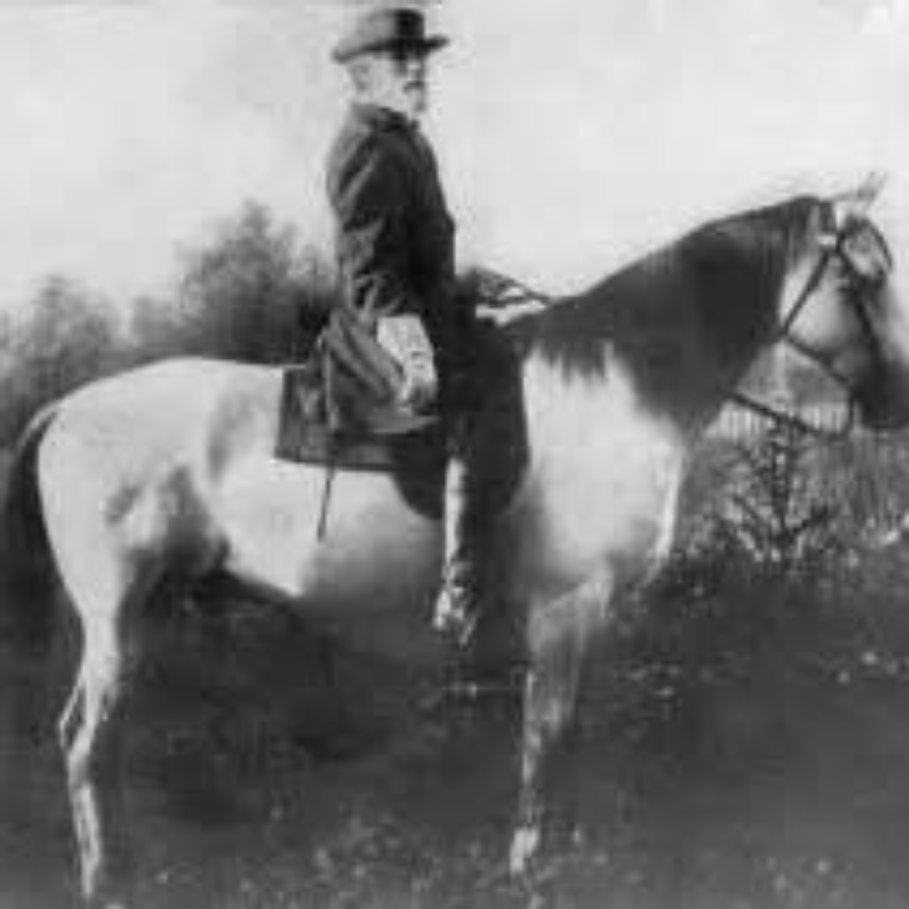 Meet your Posher, David